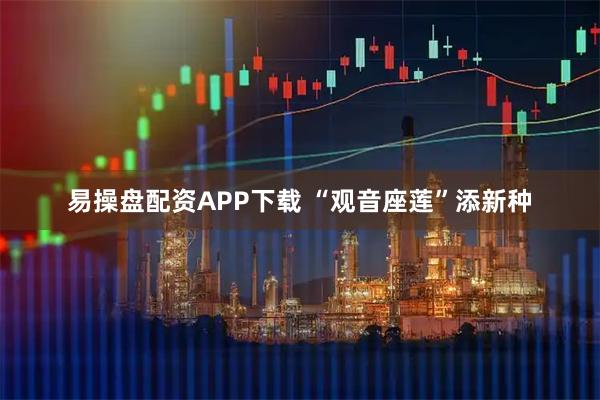 易操盘配资APP下载 “观音座莲”添新种