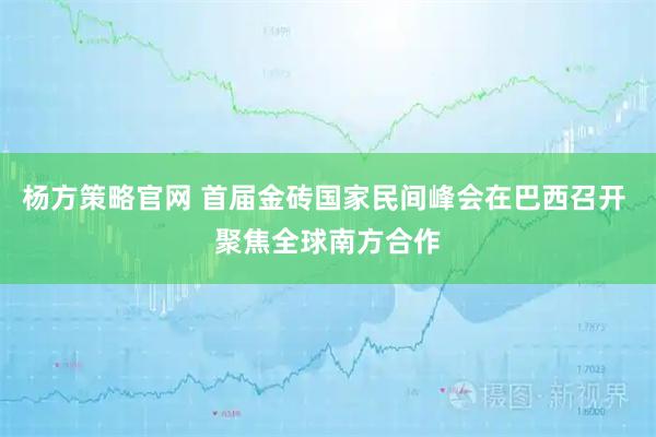 杨方策略官网 首届金砖国家民间峰会在巴西召开 聚焦全球南方合作