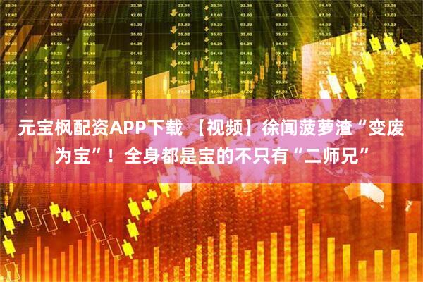 元宝枫配资APP下载 【视频】徐闻菠萝渣“变废为宝”！全身都是宝的不只有“二师兄”